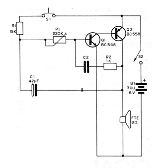 Figure 1 - Diagram of the electronic ox
