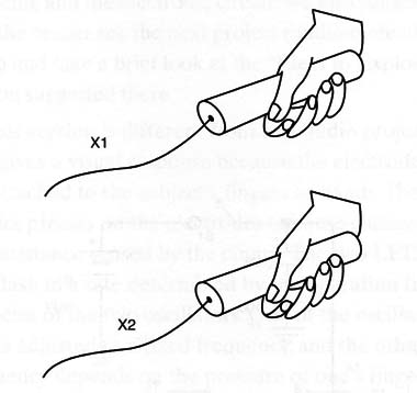 Figure 5 – Experimenting with a plant
