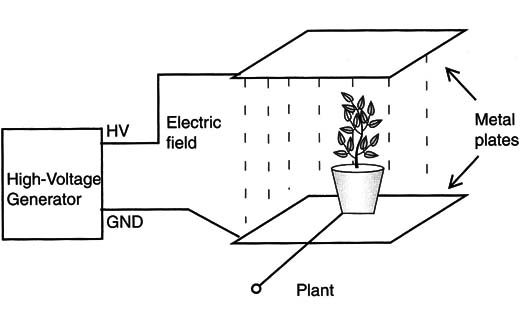 Figure 3 – Experimenting with electric field
