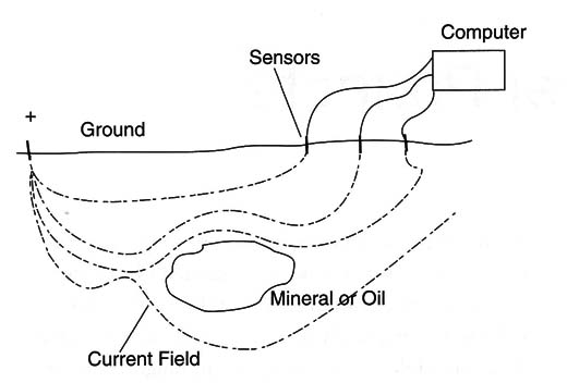 Figure 2 –The Black Ghost uses an elecrric field to detect objects
